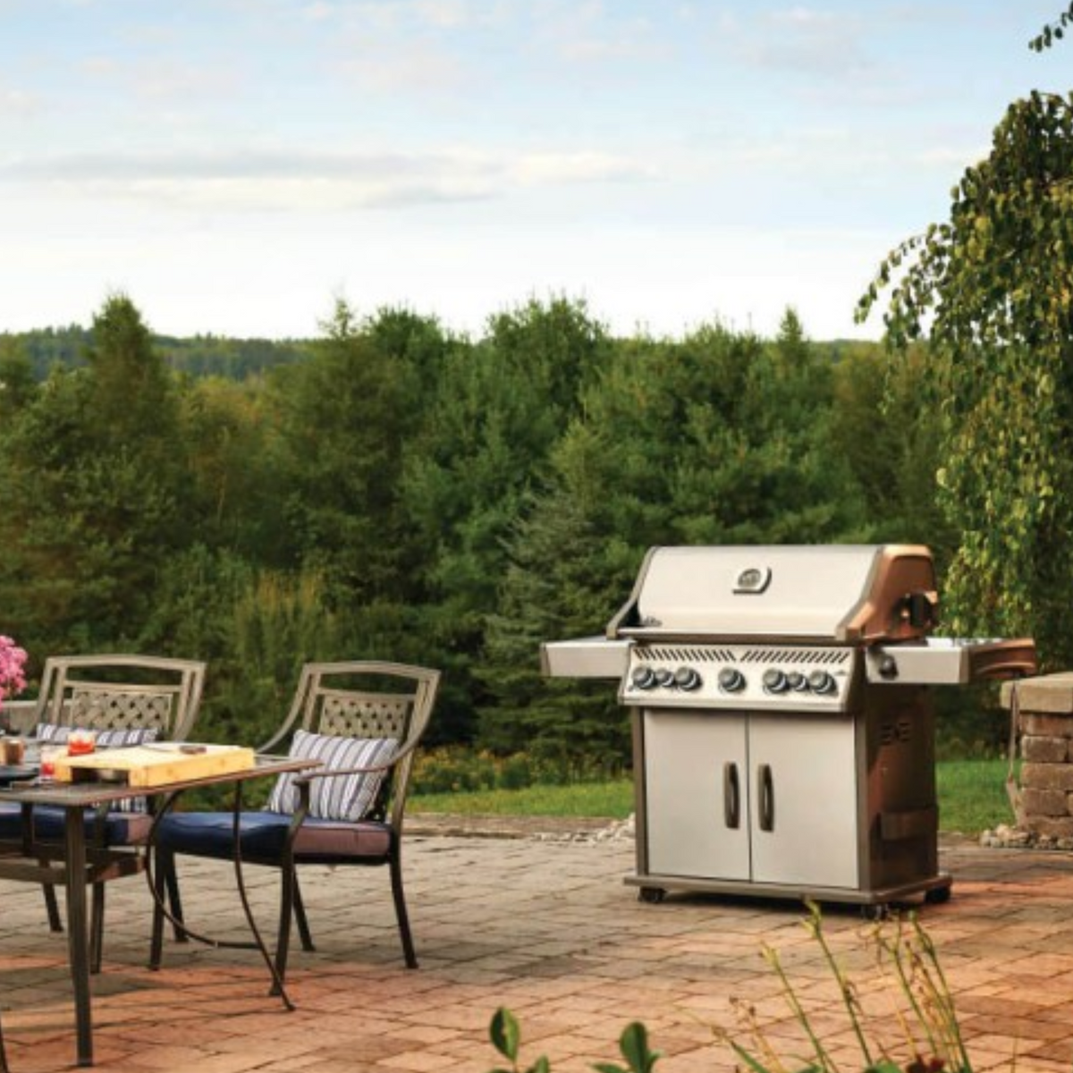 Napoleon Rogue SE 625 Propane Gas BBQ RSE625RSIBPSS-1 | Free Cover + Meat Lovers Kit